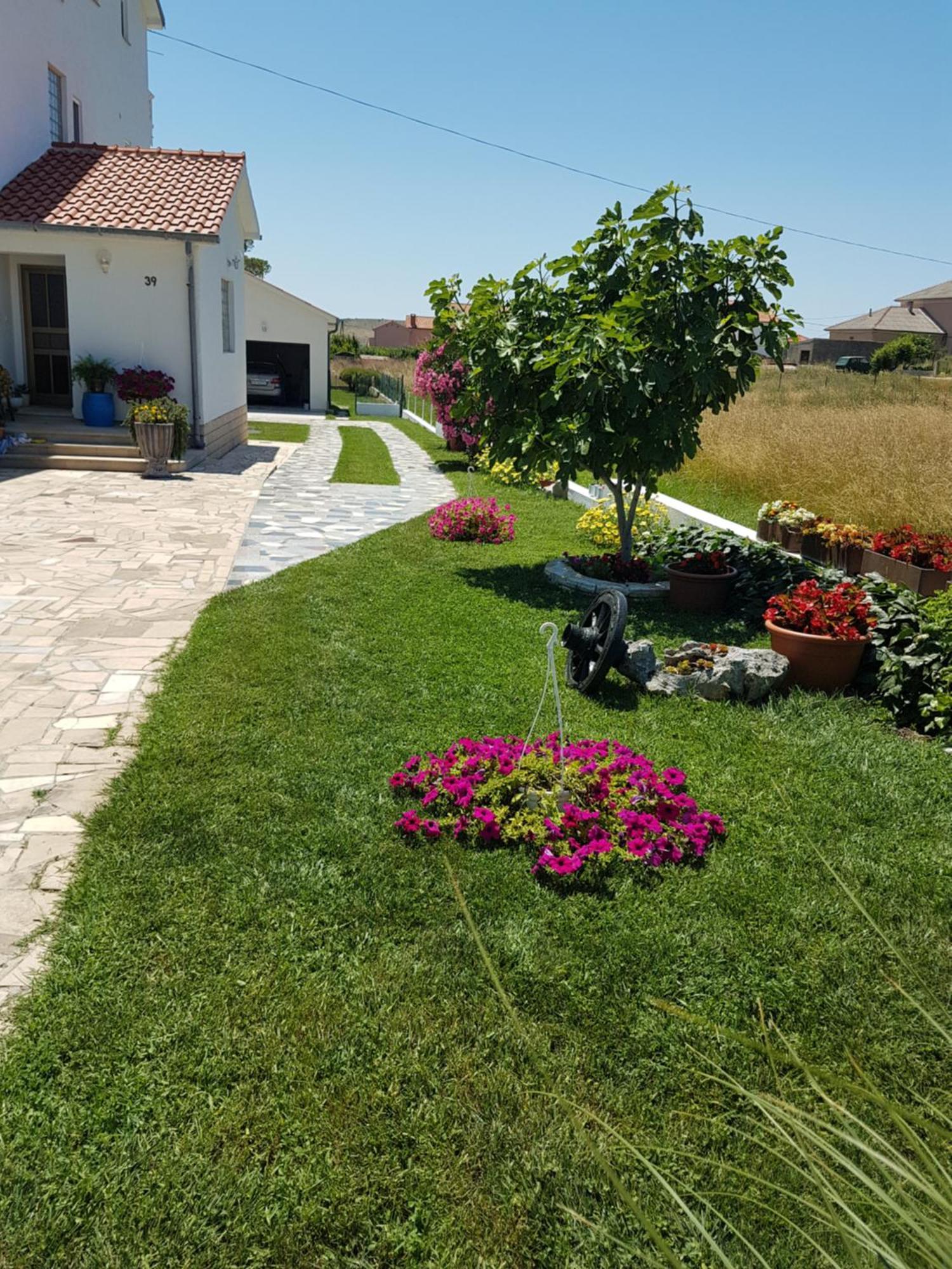 Apartments Smilja Ljubač المظهر الخارجي الصورة